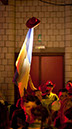 22-19-24-IMG_9988